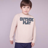 Kids Boys Girls Long Sleeve Sweatshirt Crewneck Pullover Sweatshirts Baby Girls Sweater Shirts With Terry Patched Logo(Accept custom order low MOQ)
