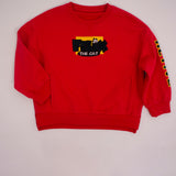 CPC(CPSIA certified) Custom Kids Sweatershirt Cotton French Terry Pullover Crew Neck Baby Boy Girls Jumpers Toddler Sweatshirts With Embroidery Patches(Accept custom order low MOQ)