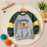 Vegetable - Printed Raglan Sleeve Color - Block Kids' Crew Neck Sweatshirt – Educational & Stylish Top